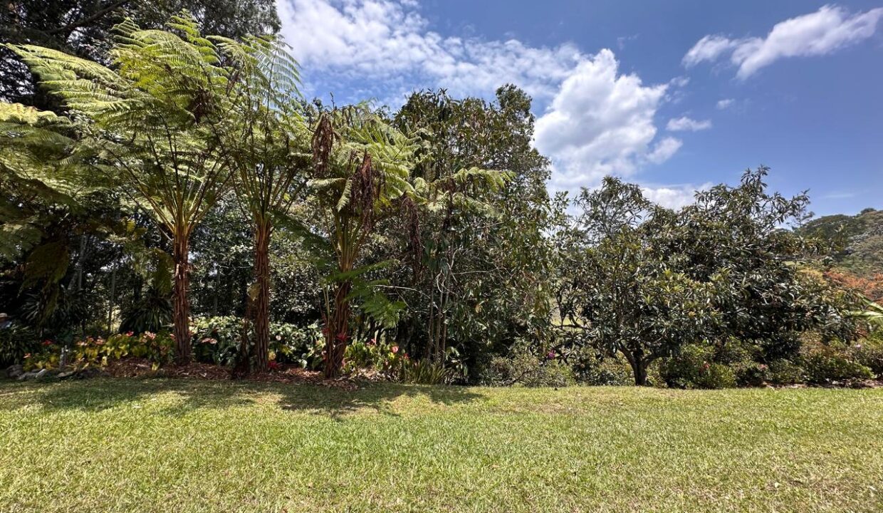 WhatsApp Image 2024-09-25 at 11.25.30 (12)