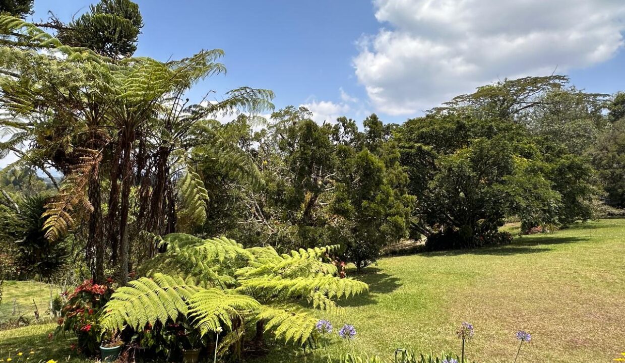 WhatsApp Image 2024-09-25 at 11.25.30