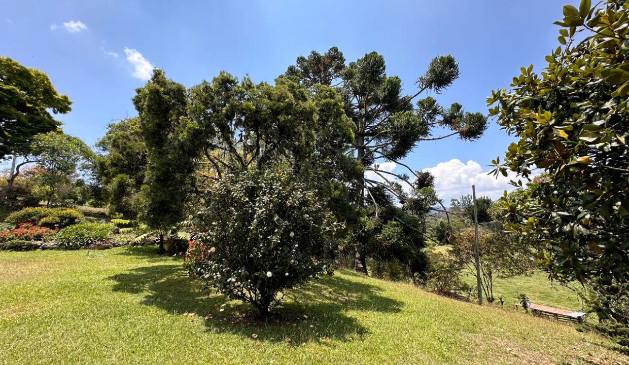 WhatsApp Image 2024-09-25 at 11.25.30 (2)