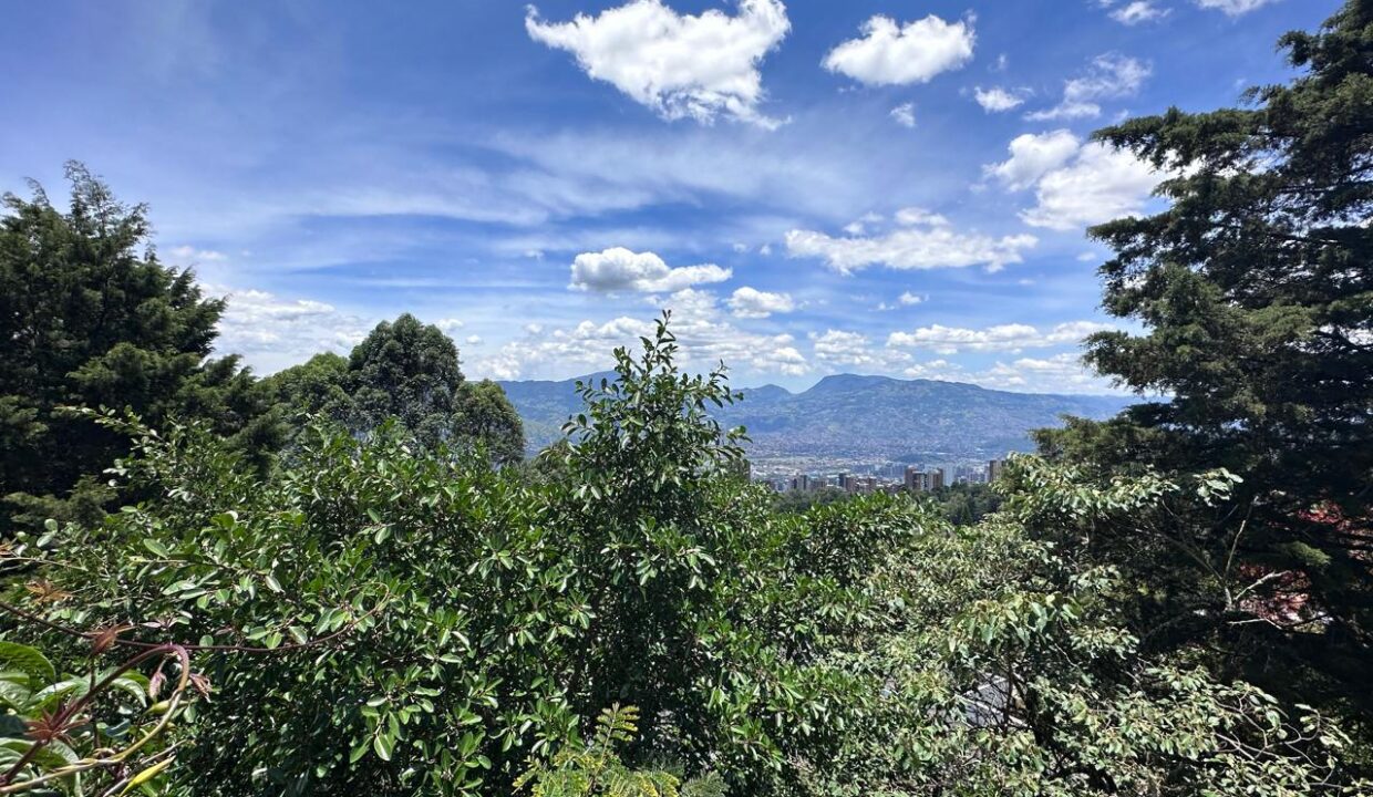 WhatsApp Image 2024-09-25 at 13.04.08