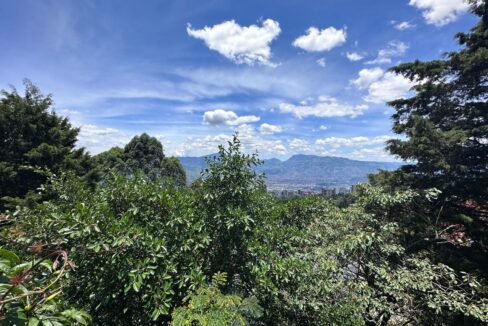 WhatsApp Image 2024-09-25 at 13.04.08