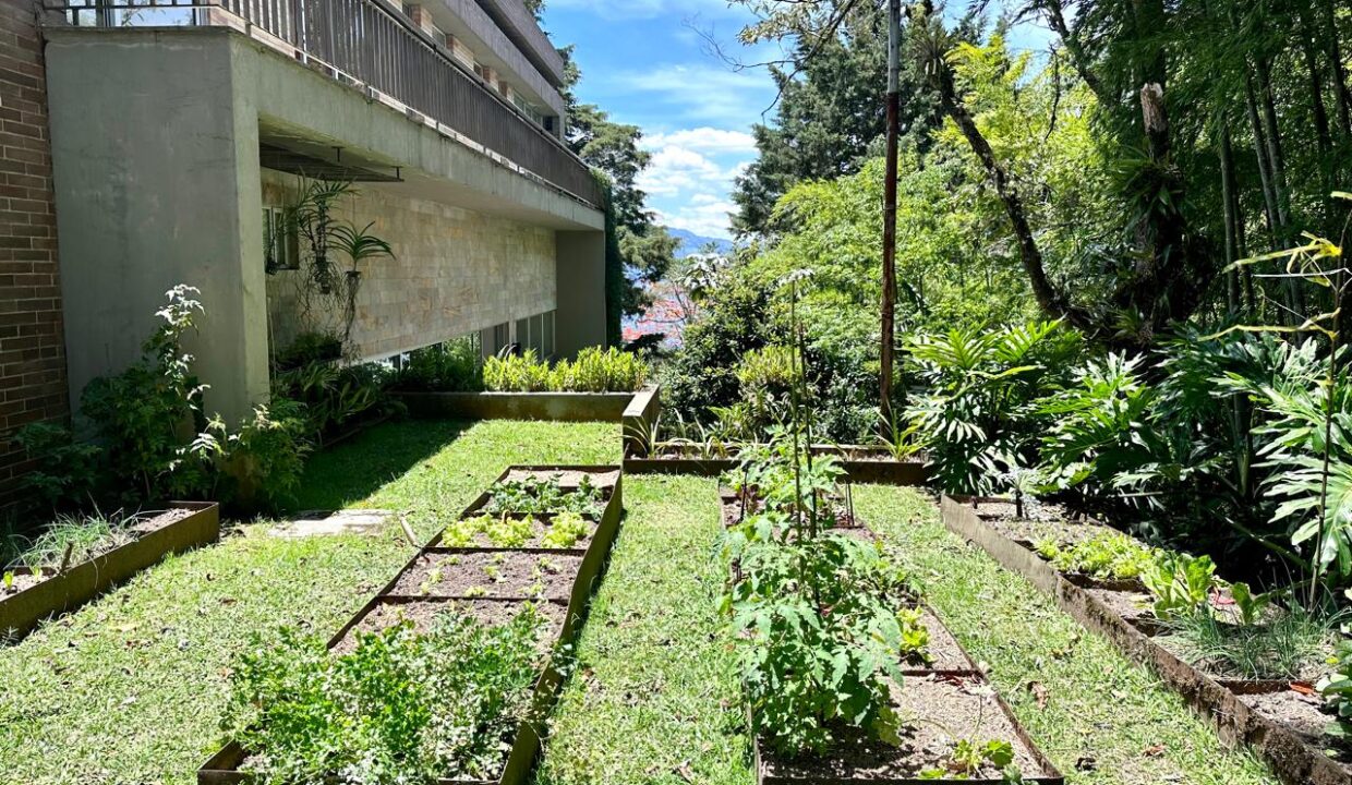 WhatsApp Image 2024-09-25 at 13.04.09 (11)