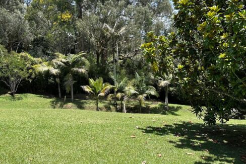 WhatsApp Image 2024-09-26 at 09.50.23 (2)