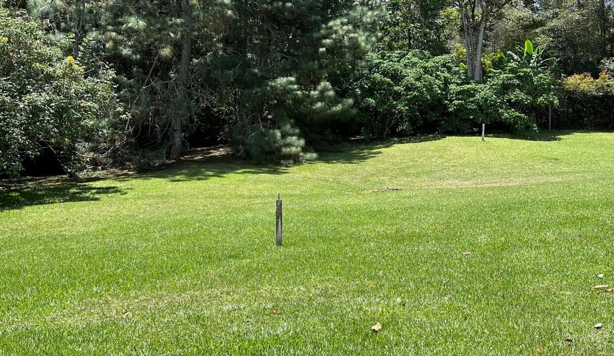 WhatsApp Image 2024-09-26 at 09.50.23 (3)