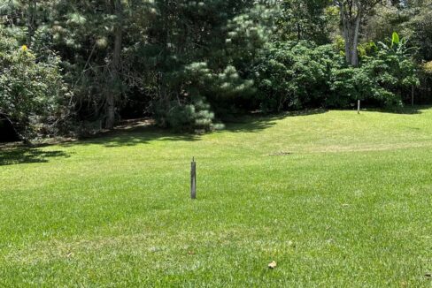 WhatsApp Image 2024-09-26 at 09.50.23 (3)