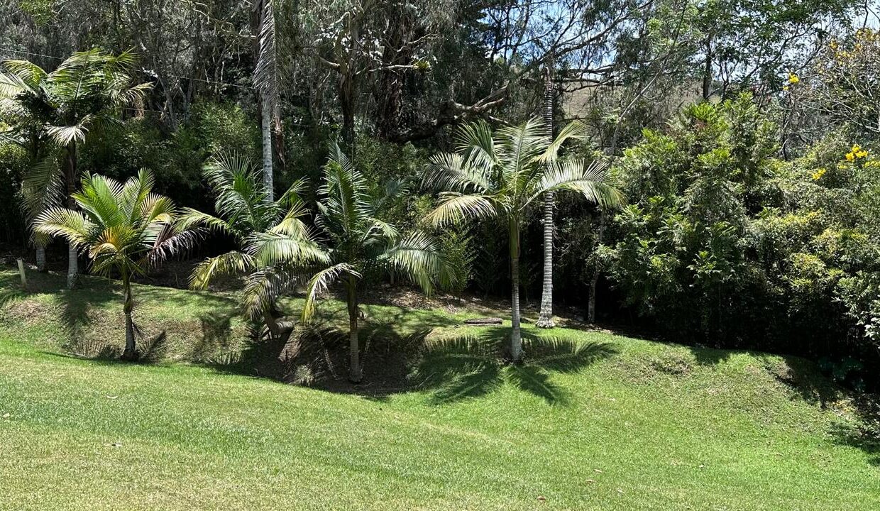 WhatsApp Image 2024-09-26 at 09.50.23 (5)