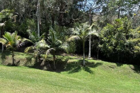 WhatsApp Image 2024-09-26 at 09.50.23 (5)