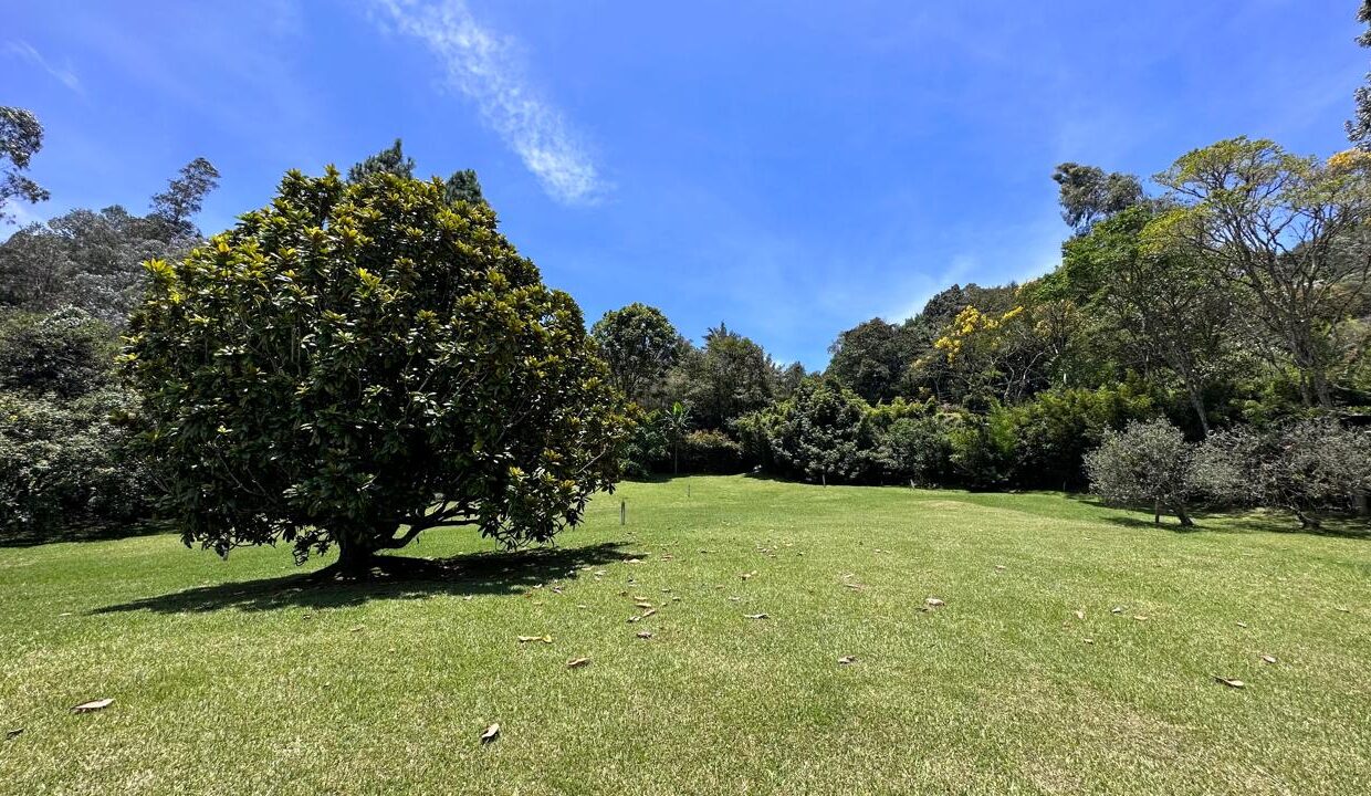 WhatsApp Image 2024-09-26 at 09.50.23 (6)