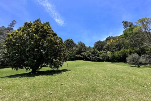 WhatsApp Image 2024-09-26 at 09.50.23 (6)