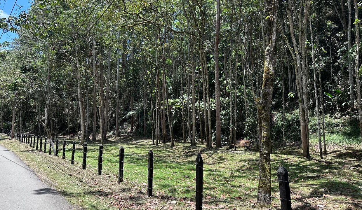 WhatsApp Image 2024-09-26 at 09.50.23 (7)