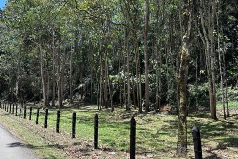 WhatsApp Image 2024-09-26 at 09.50.23 (7)