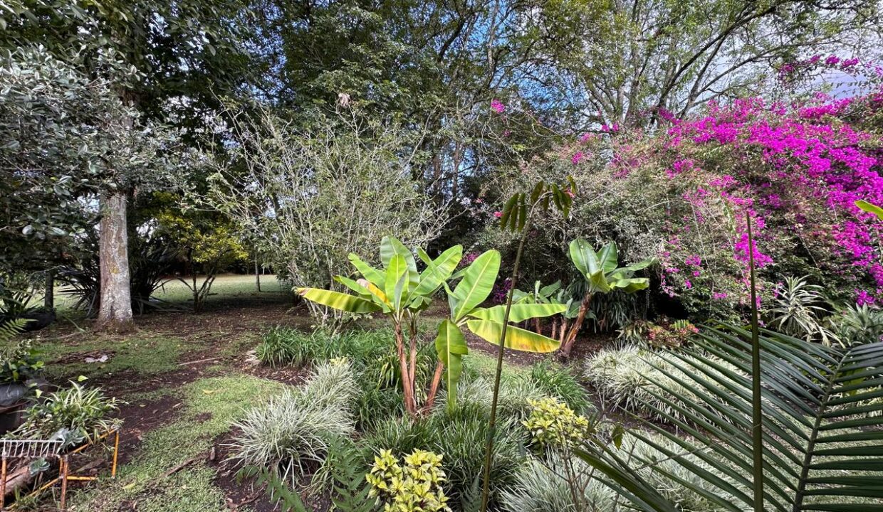 WhatsApp Image 2024-10-02 at 11.46.12 (3)