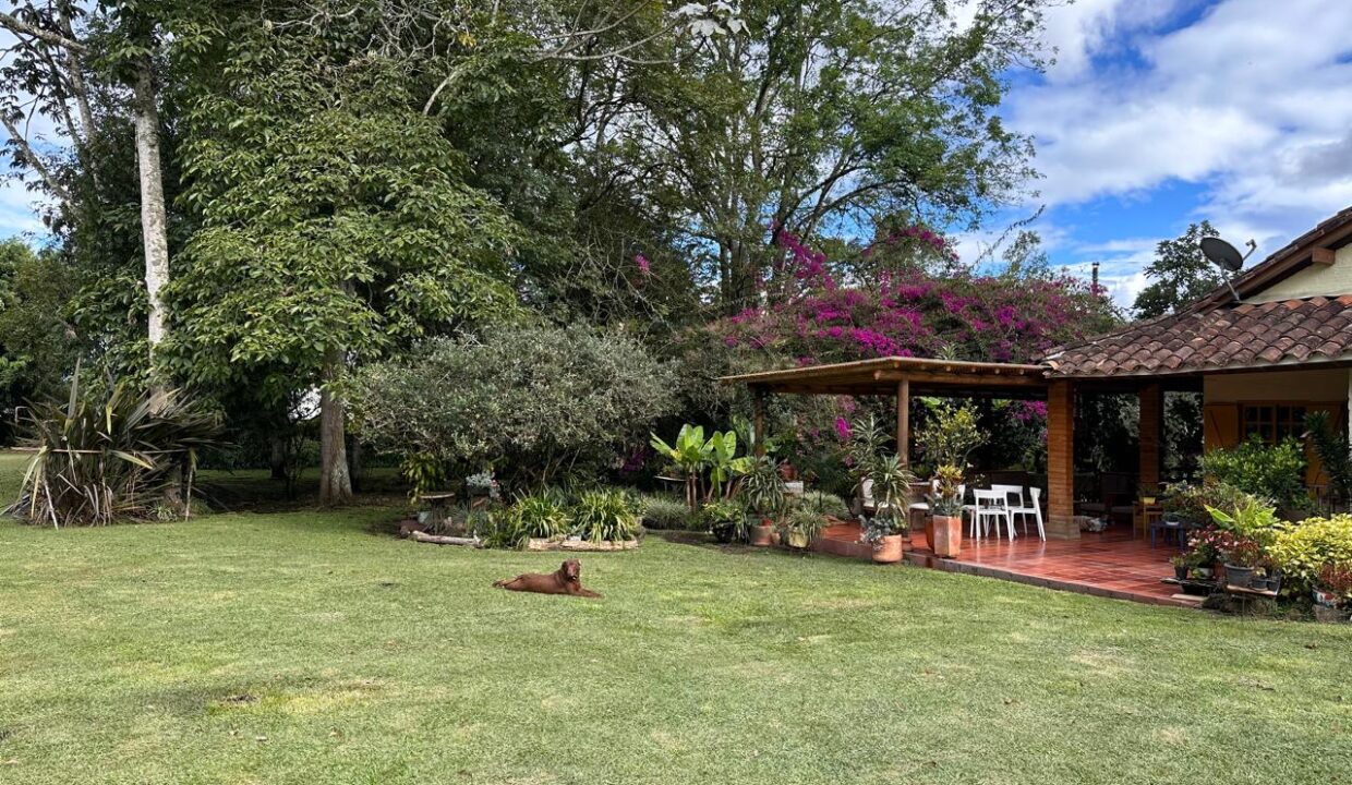 WhatsApp Image 2024-10-02 at 11.46.36