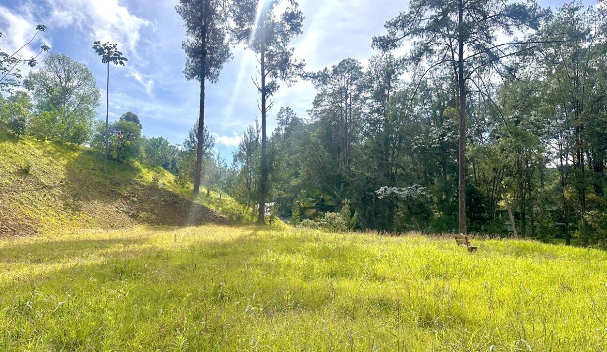 WhatsApp Image 2024-10-02 at 12.39.17 (1)