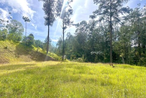 WhatsApp Image 2024-10-02 at 12.39.17 (1)