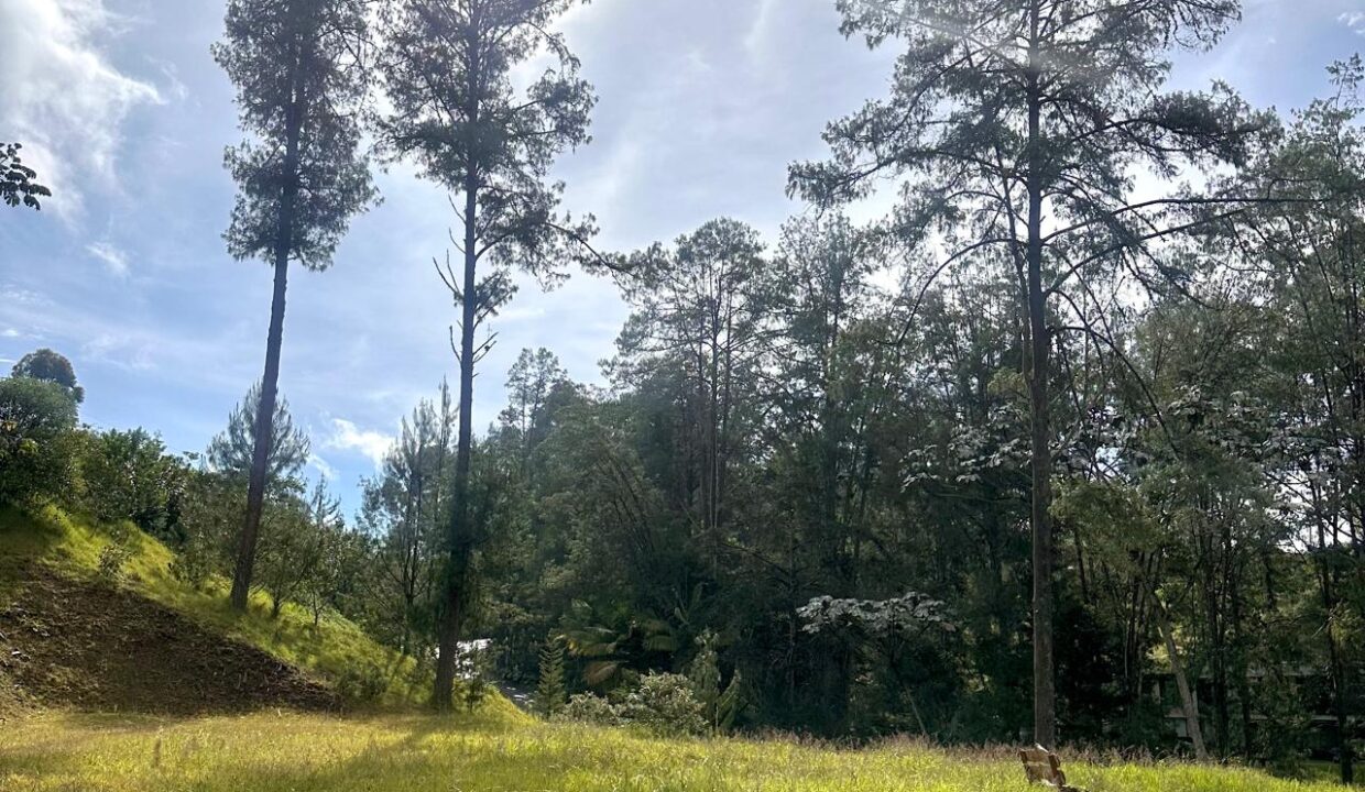 WhatsApp Image 2024-10-02 at 12.39.17