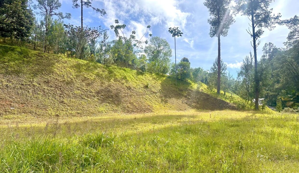 WhatsApp Image 2024-10-02 at 12.39.17 (2)