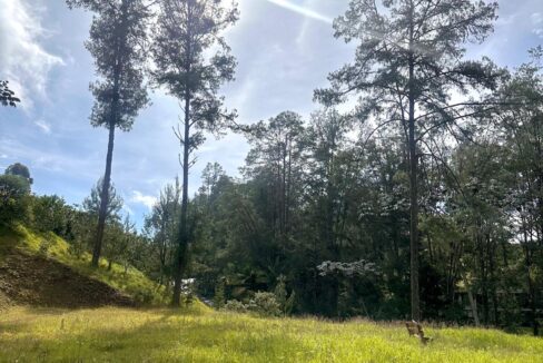 WhatsApp Image 2024-10-02 at 12.39.17