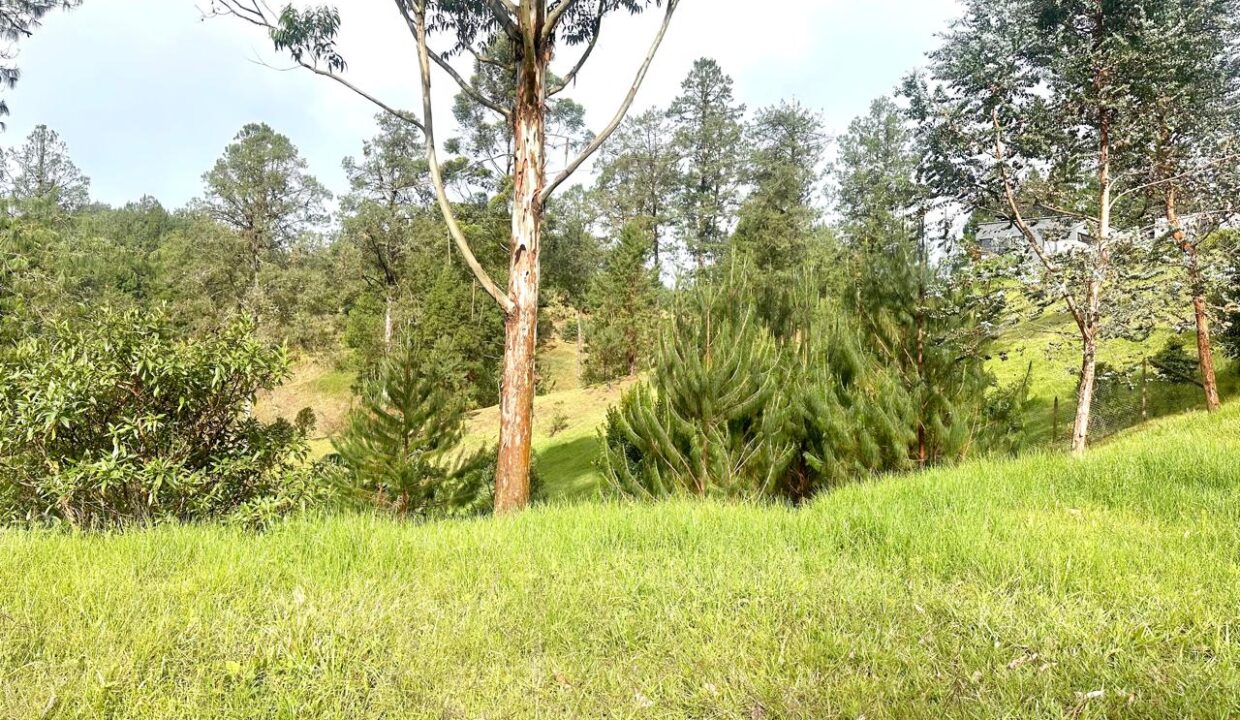 WhatsApp Image 2024-10-02 at 12.39.18 (1)