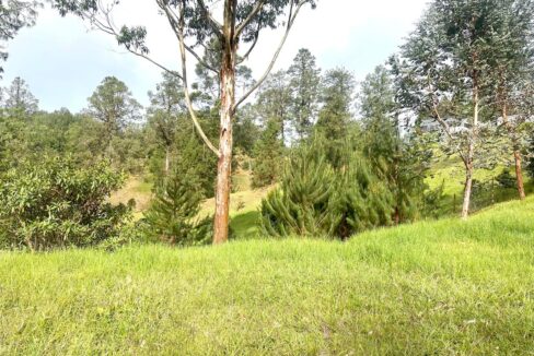 WhatsApp Image 2024-10-02 at 12.39.18 (1)