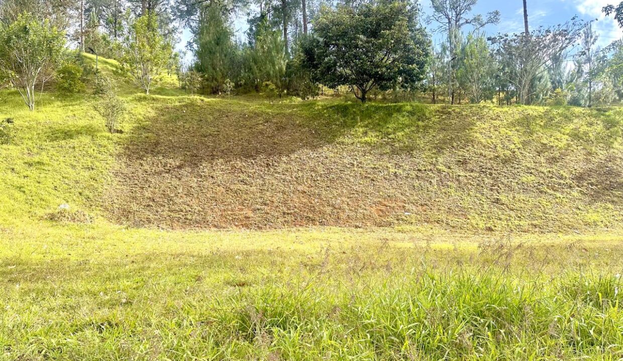 WhatsApp Image 2024-10-02 at 12.39.18