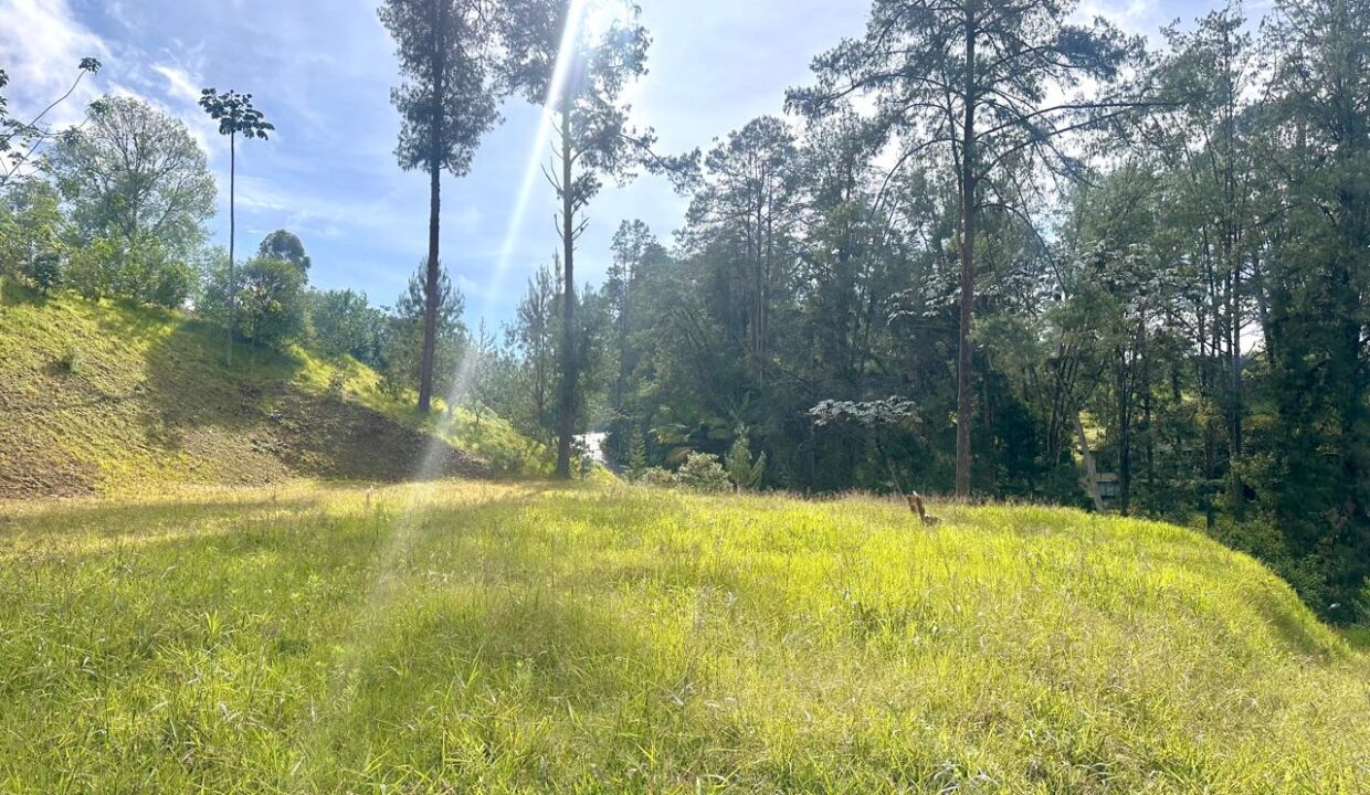 WhatsApp Image 2024-10-02 at 12.39.18 (2)