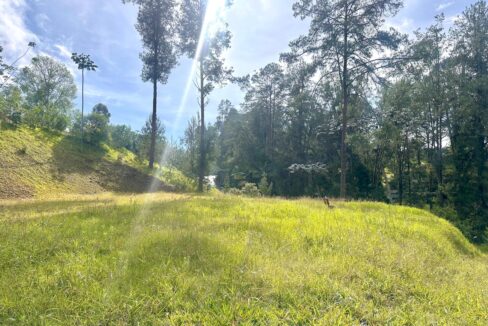 WhatsApp Image 2024-10-02 at 12.39.18 (2)