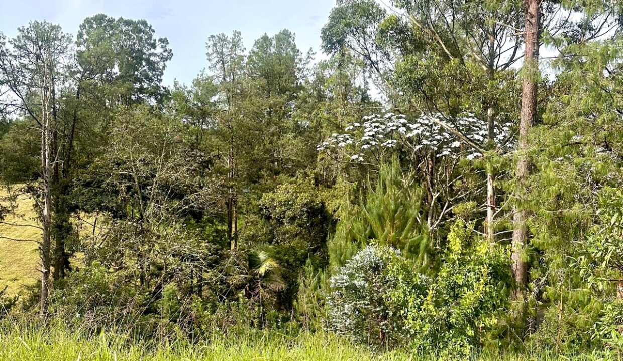 WhatsApp Image 2024-10-02 at 12.39.18 (3)