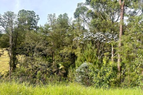 WhatsApp Image 2024-10-02 at 12.39.18 (3)