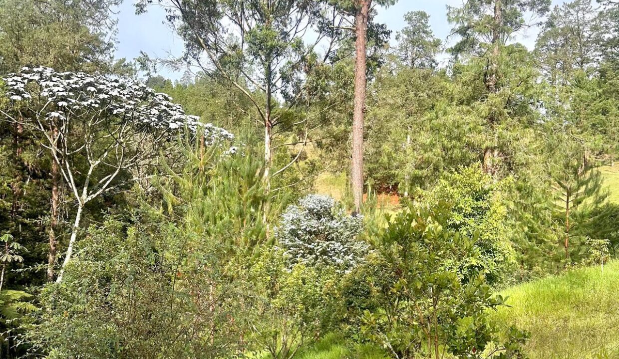 WhatsApp Image 2024-10-02 at 12.39.18 (4)