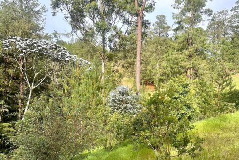 WhatsApp Image 2024-10-02 at 12.39.18 (4)