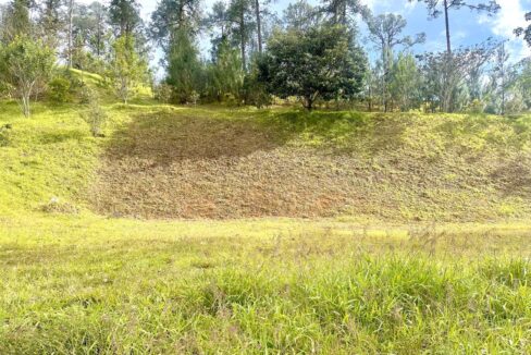 WhatsApp Image 2024-10-02 at 12.39.18