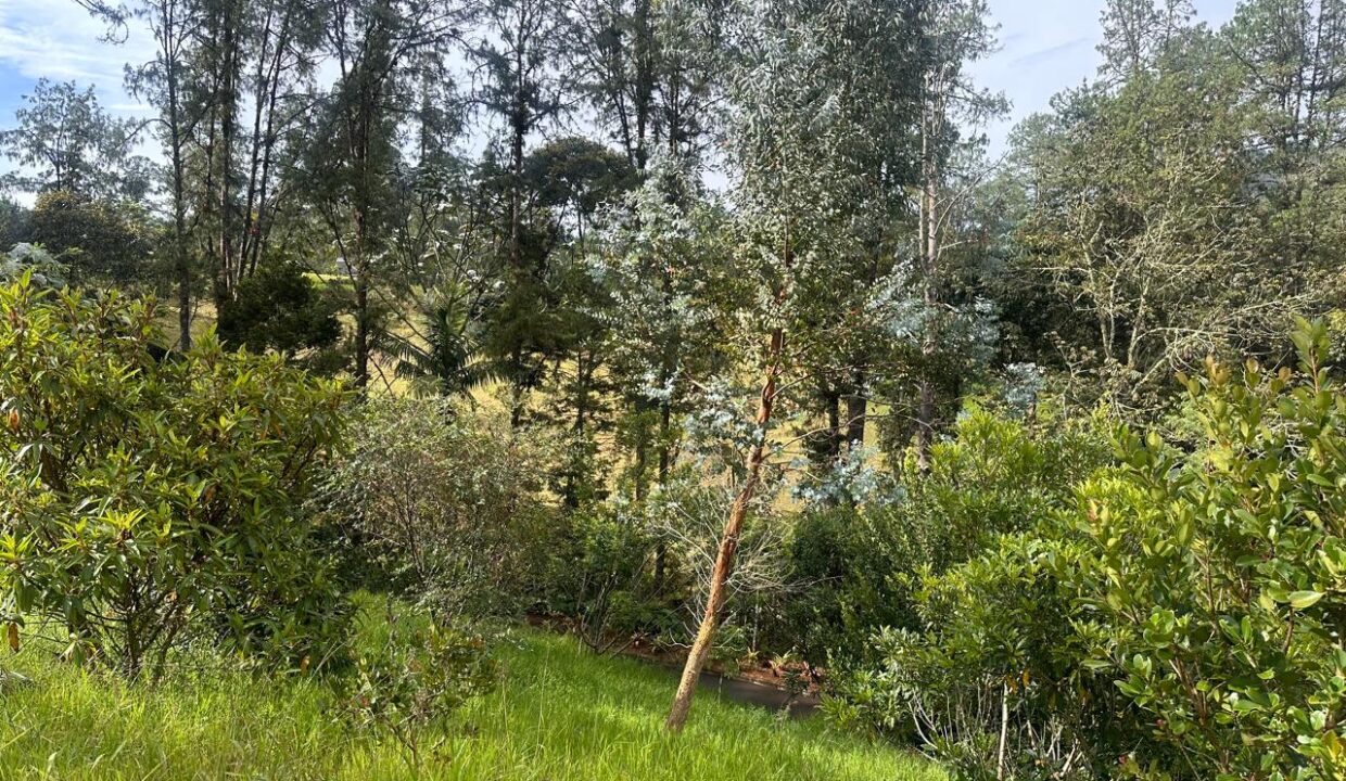 WhatsApp Image 2024-10-02 at 12.39.18 (5)