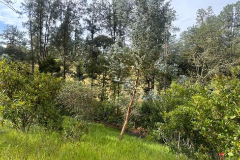 WhatsApp Image 2024-10-02 at 12.39.18 (5)