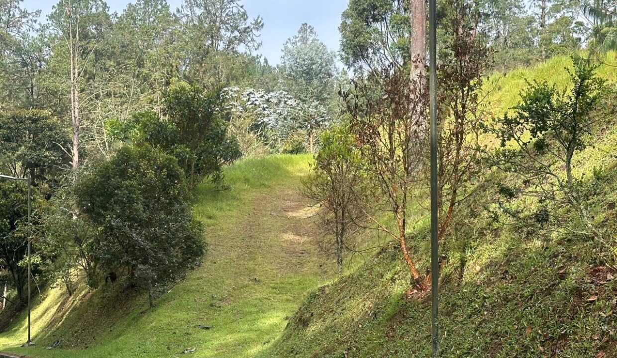 WhatsApp Image 2024-10-02 at 12.39.18 (6)