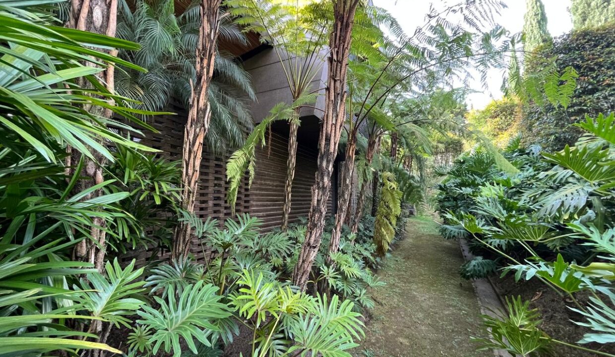 WhatsApp Image 2024-10-03 at 11.46.47 (12)