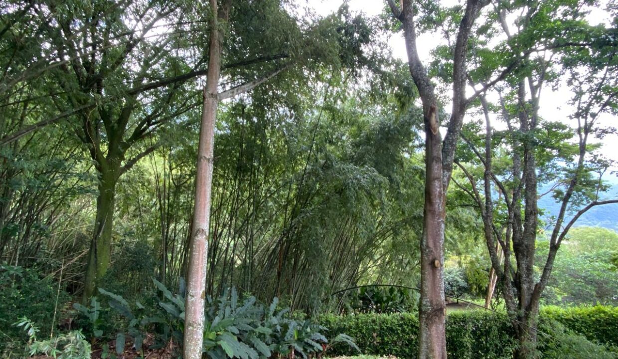 WhatsApp Image 2024-10-03 at 13.22.06