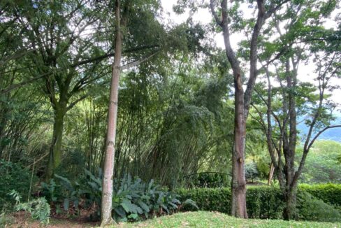 WhatsApp Image 2024-10-03 at 13.22.06