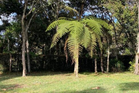 WhatsApp Image 2024-10-03 at 13.32.43 (1)