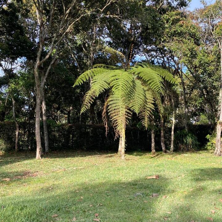 WhatsApp Image 2024-10-03 at 13.32.43 (1)