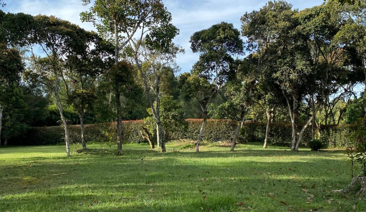 WhatsApp Image 2024-10-03 at 13.32.43