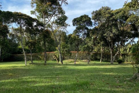 WhatsApp Image 2024-10-03 at 13.32.43