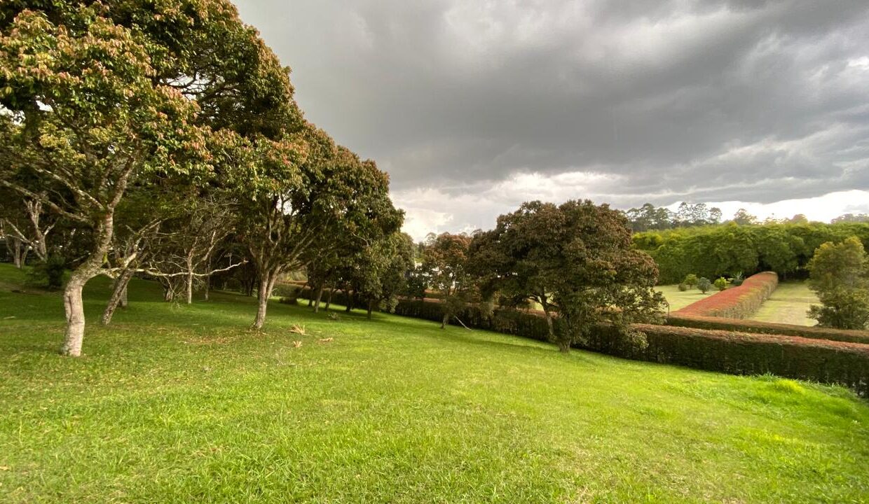 WhatsApp Image 2024-10-03 at 13.46.52 (1)