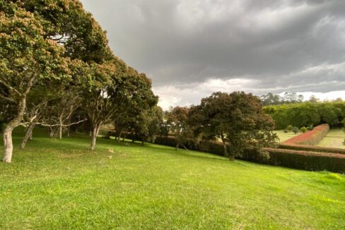 WhatsApp Image 2024-10-03 at 13.46.52 (1)