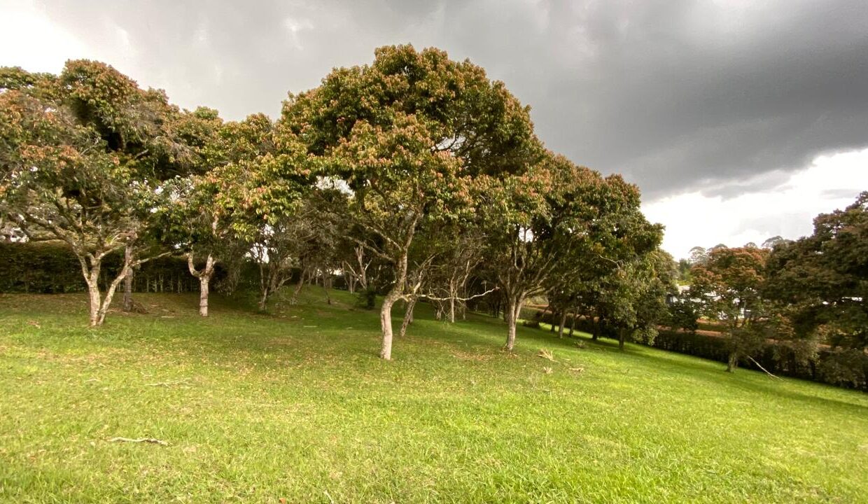 WhatsApp Image 2024-10-03 at 13.46.52