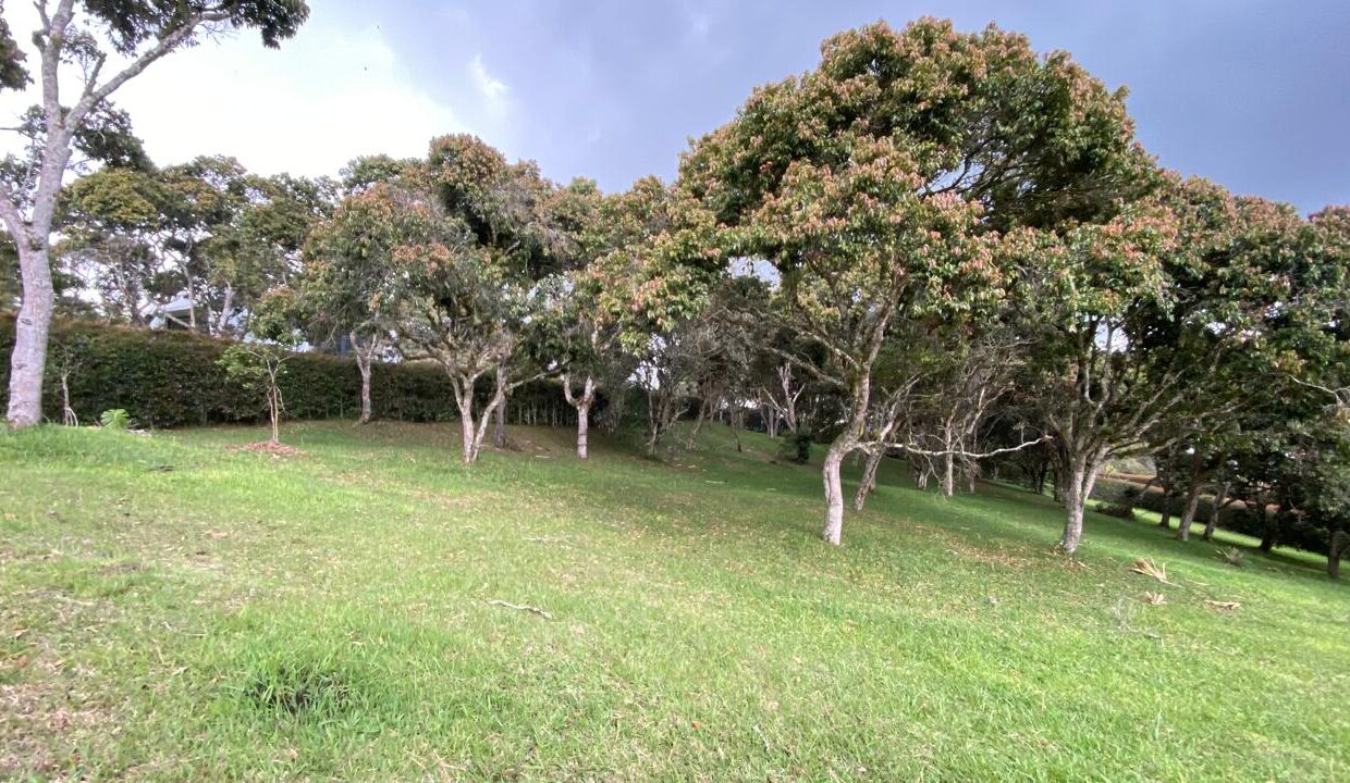 WhatsApp Image 2024-10-03 at 13.46.52 (2)