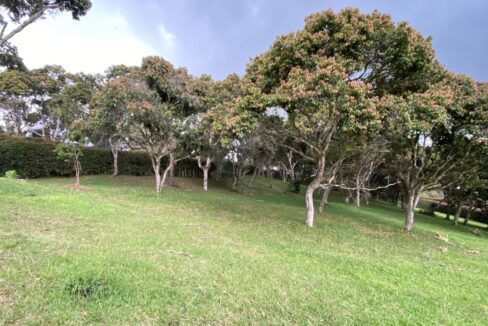 WhatsApp Image 2024-10-03 at 13.46.52 (2)