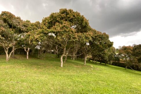 WhatsApp Image 2024-10-03 at 13.46.52