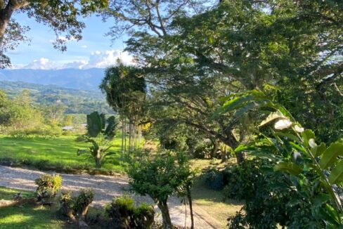 WhatsApp Image 2024-10-03 at 14.24.29 (2)