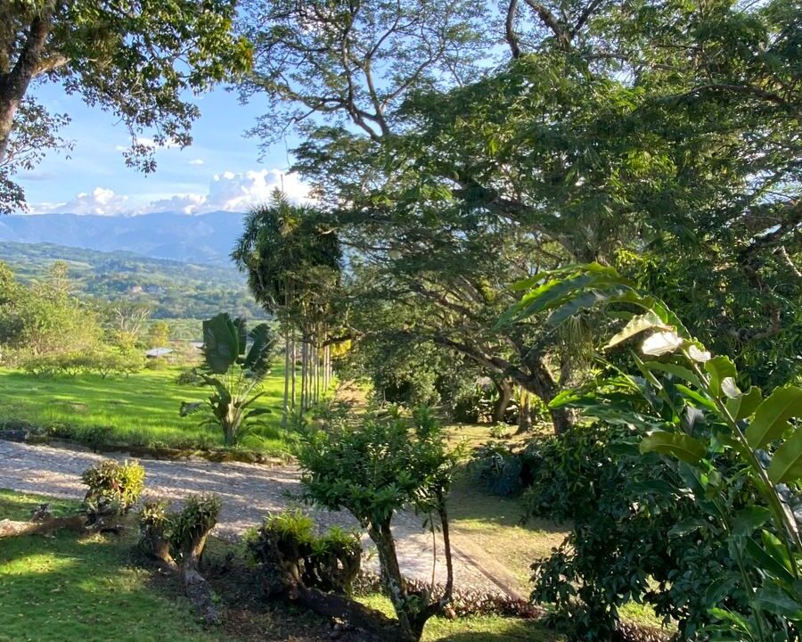 WhatsApp Image 2024-10-03 at 14.24.29 (2)